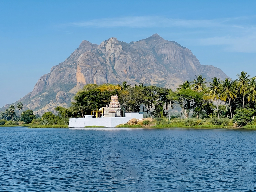 Event Management Services Across South India